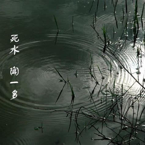 死水意思|死水（闻一多创作诗歌）